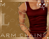 Chain Gold ML1a Ⓚ