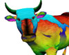 Rainbow cow