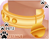[Pets]Collar v2 | Yellow