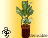 ST! derivable plant
