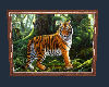 (HP)TigerPicture