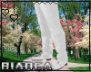 [B] King Wedding [1]
