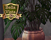 BellaVista Plant