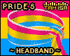 ! Pride Headband #5