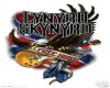 SKYNYRD MOVING PICTURES