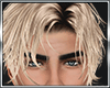 Blonde Animed Hair Male