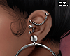D. Paris S. Earrings!