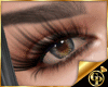GP*Eyes Derive 25A1