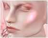 Pink Highlighter Makeup
