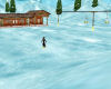 ski resort animated