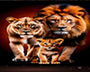 Lions Family