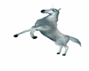 licorne