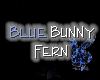 Blue Bunny Fern