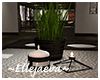 Table Plant & Candles