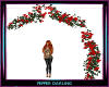 Red Rose Arch