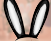 J | Bunny Ears