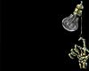 Z* Death Armor Gold