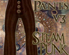 SG Steampunk Pants v3