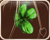 !NC Paddy Clover Earring