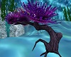 Underwater Plant Anim