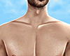 ♛ BeachBoy Muscled.