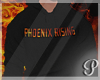 Phoenix Rising REQ