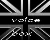 (VIC) English Voice Box