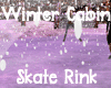 Cabin IceSkate Rink