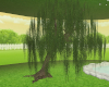 e_willow tree