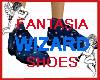 Fantasia Wizard Shoes