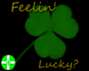 Feelin' Lucky Shamrock