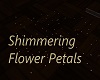 Shimmering Flower Petals