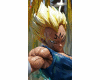 Cotout Vegeta