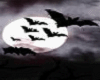 AnimateD / Morcegos