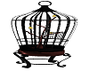 Animated Birds In Cage
