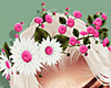 Springtime | Pink BUNDLE