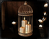 Cz!!Candles Birdcage