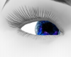 Dark blue butterfly eyes