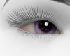 ZA Purple Eye