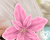 🤍 Rosie Flower Pink