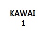 KAWAI 1M
