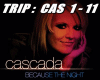 Cascada BecauseThe Night