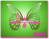 LIME N PINK BUTTERFLY 