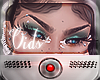 Vi. Persii Brows $$