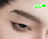 ST*Eye Brown M