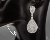 (BR) Silve/ Earrings