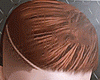 Copper Red Hair (R)