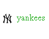 NY Yankees icon
