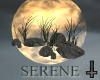 Serene Rocks & Grass