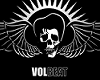 !! Volbeat